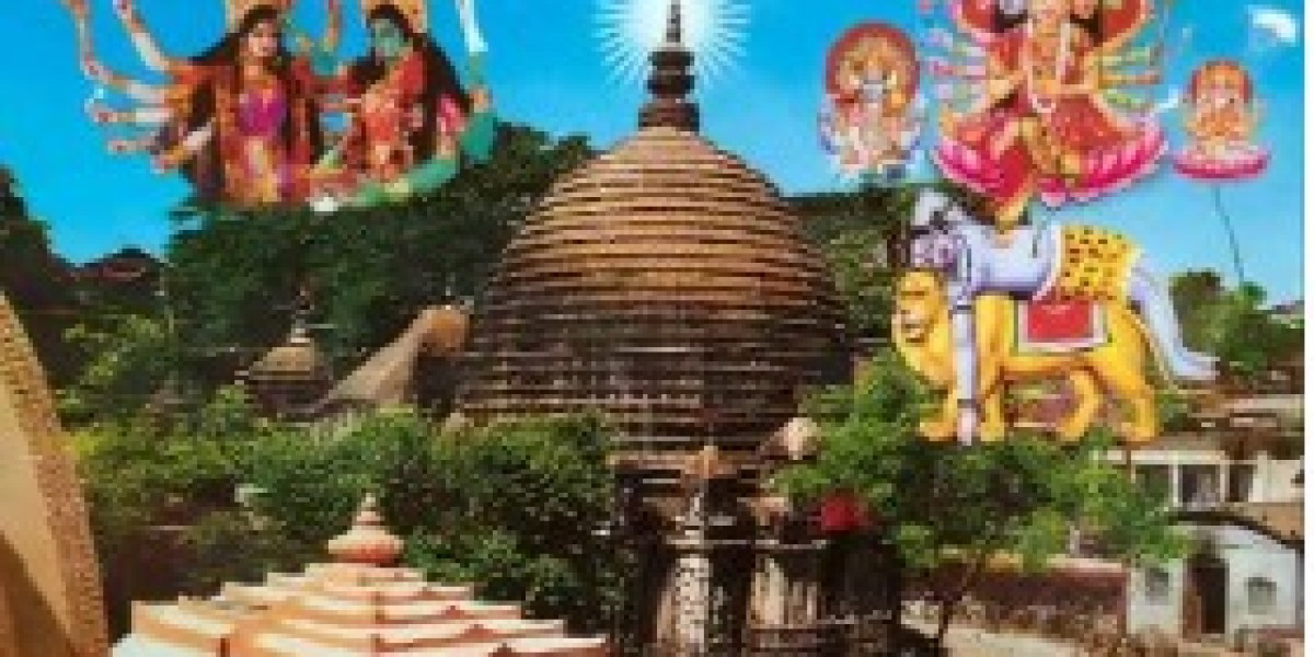 Best Astrologer in Jaipur