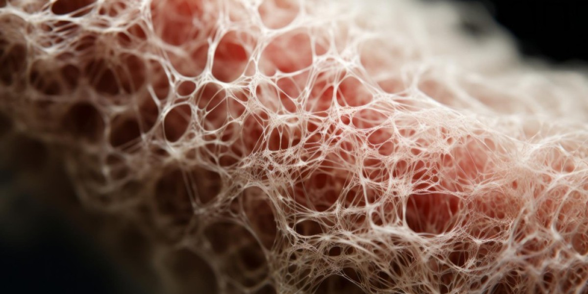Systemic Sclerosis Therapeutics Market