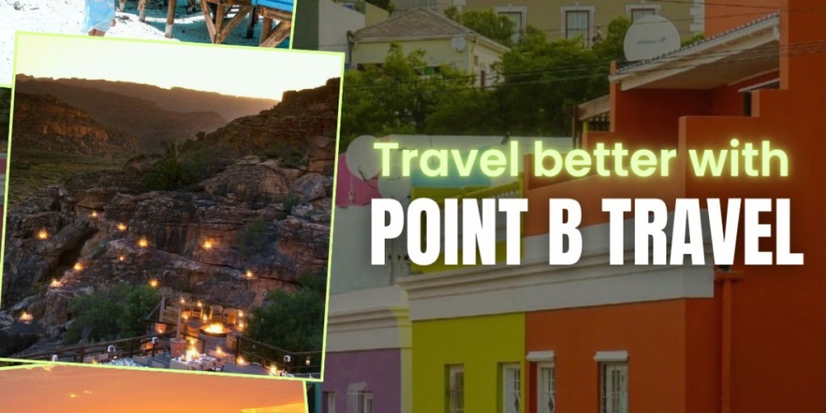 Explore Wildlife in Cape Town with Point B Travel’s Sustainable Tours