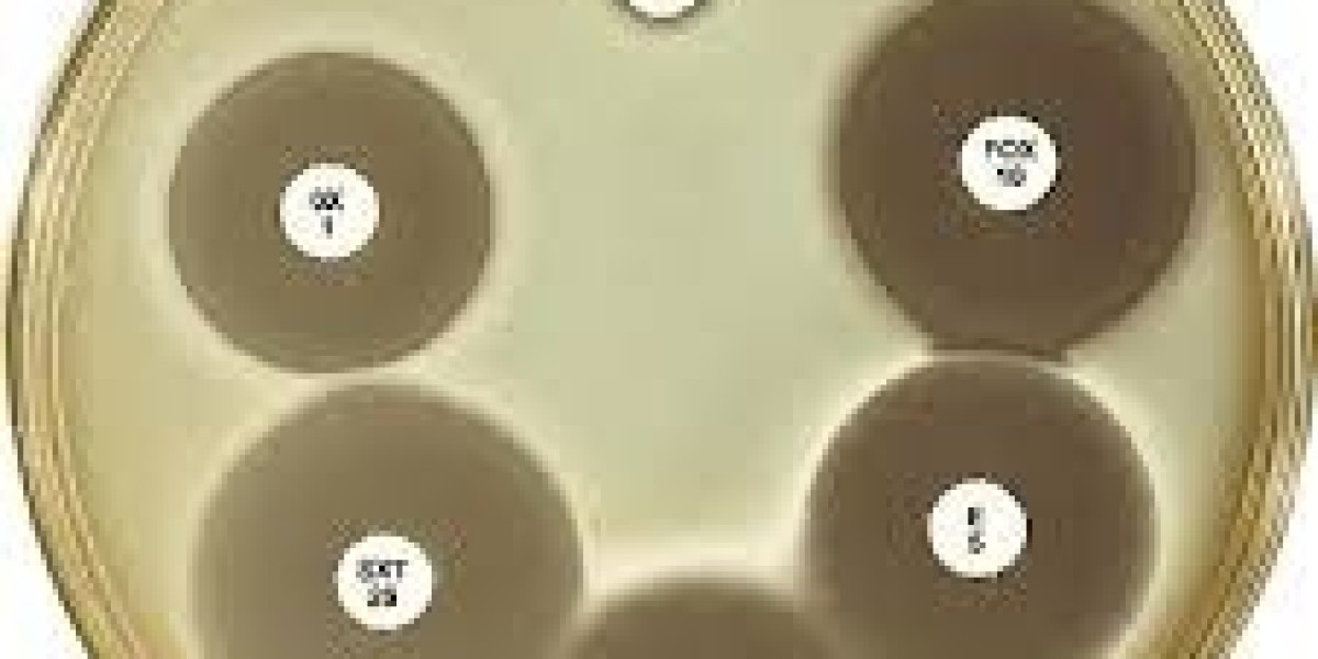 Regional Outlook on Antimicrobial Susceptibility Test Market Adoption