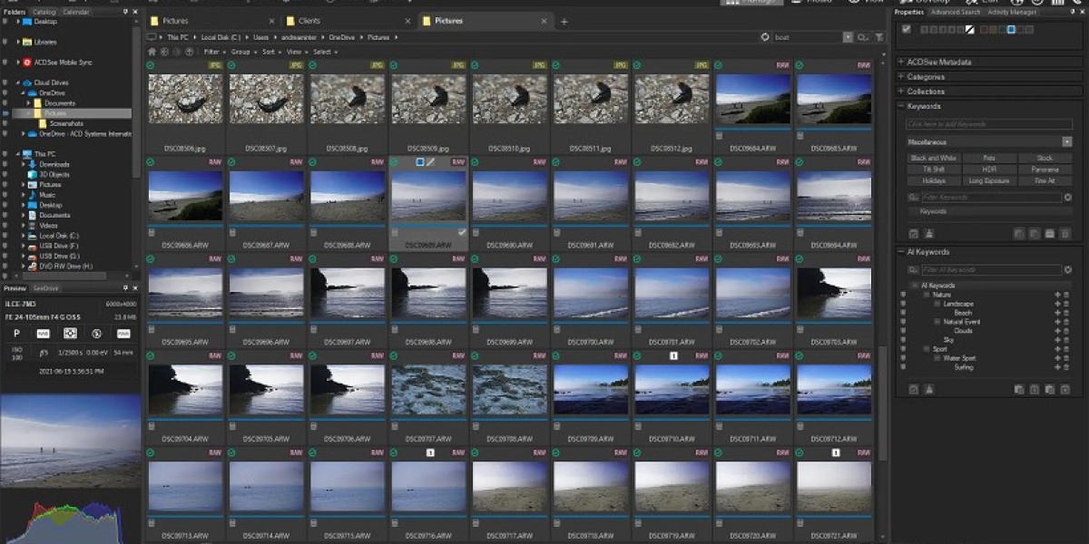 ACDSee Is The Photographer’s All‑in‑One Management and Editing Suite