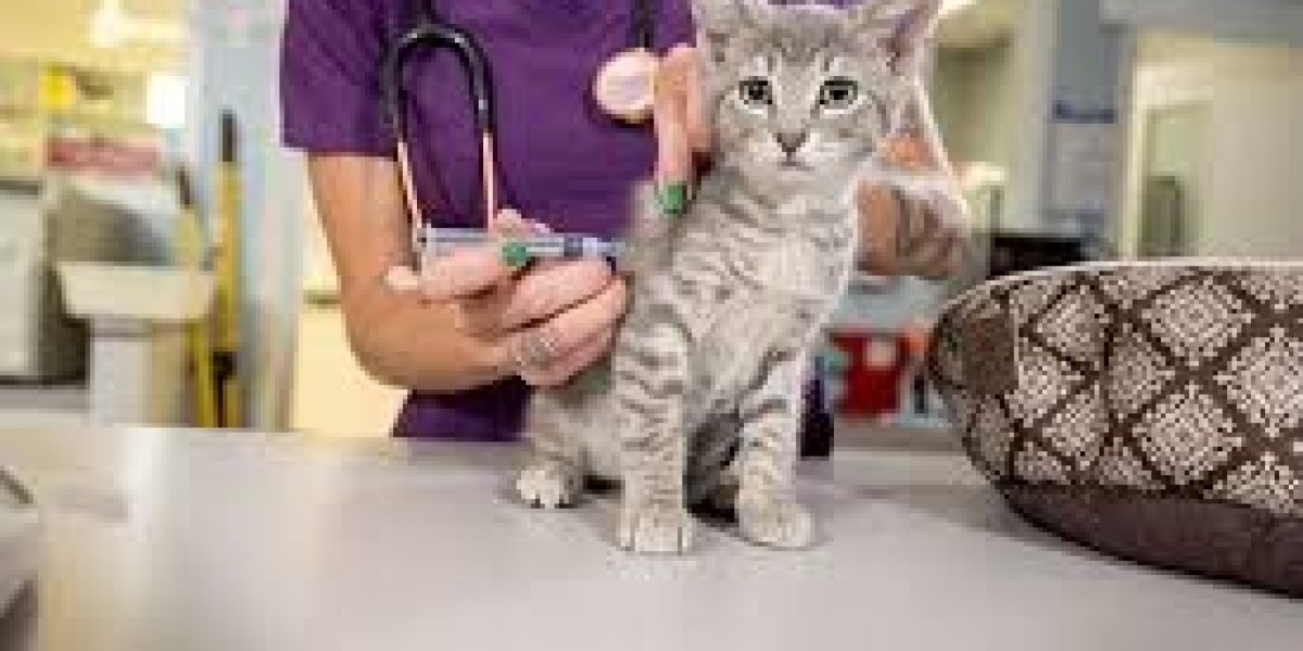 Veterinary Vaccines Market Gaining Momentum With Increasing Pet Ownership and Preventive Healthcare Spending