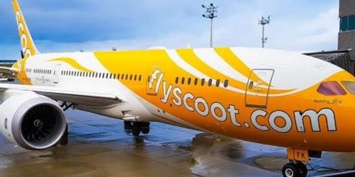 Scoot Airlines CAN Terminal 2 - Arrival and departure