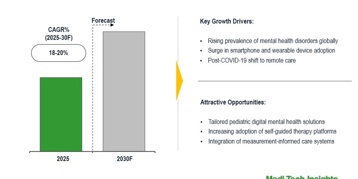 Global Digital Mental Health Market at 18–20% CAGR due to digital self-care platform rise by 2030