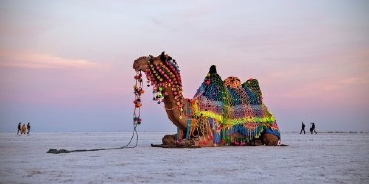 Ultimate 2N/3D Luxury Rann Utsav Packages & Cultural Magic