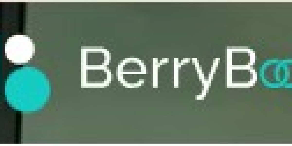 BerryBoost – Innovating Digital Solutions for a Smarter Tomorrow