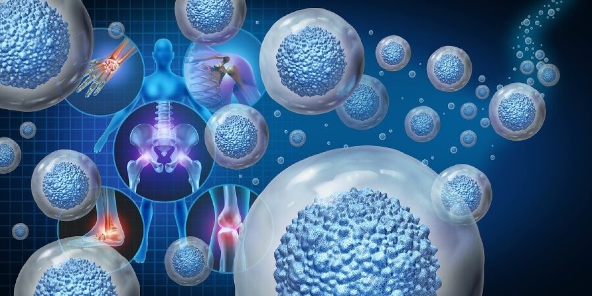 Comprehensive Analysis of Stem Cell Manufacturing Market Size and Trends