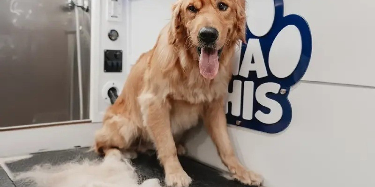 Mobile Dog Groomers Tampa – Luxury Grooming at Your Door
