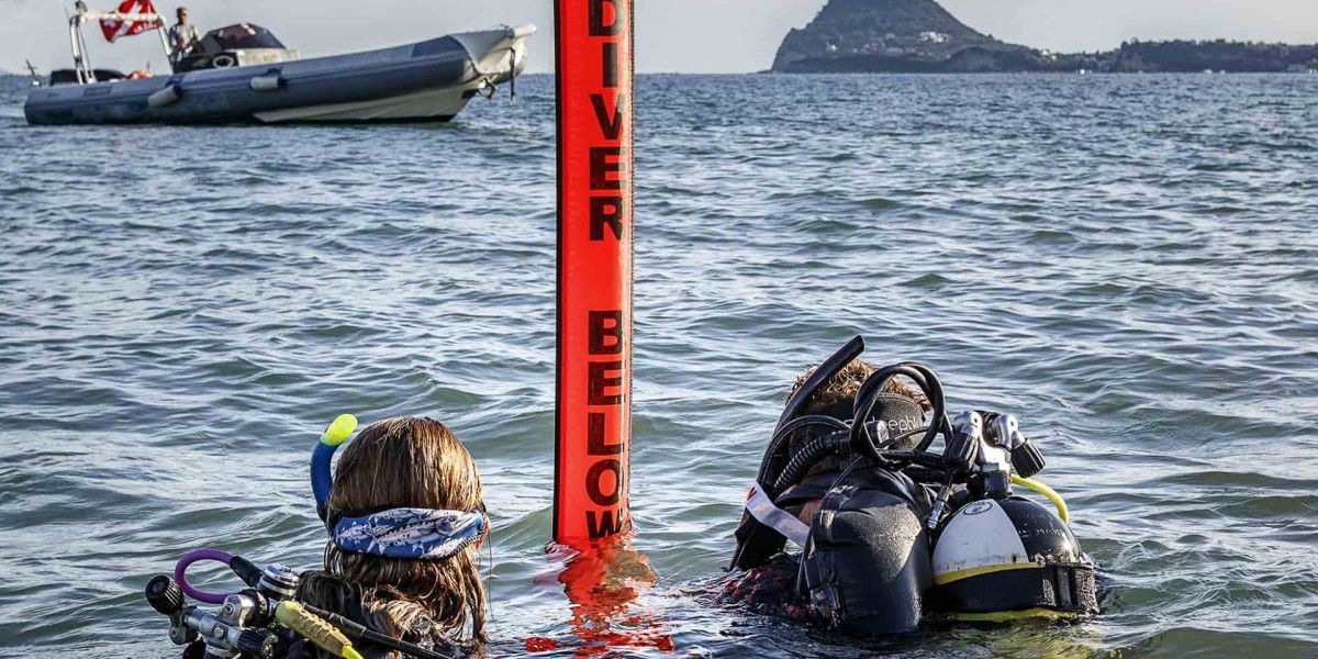 Global Diving Equipment Market Size, Trends, and Growth Analysis 2025-2032