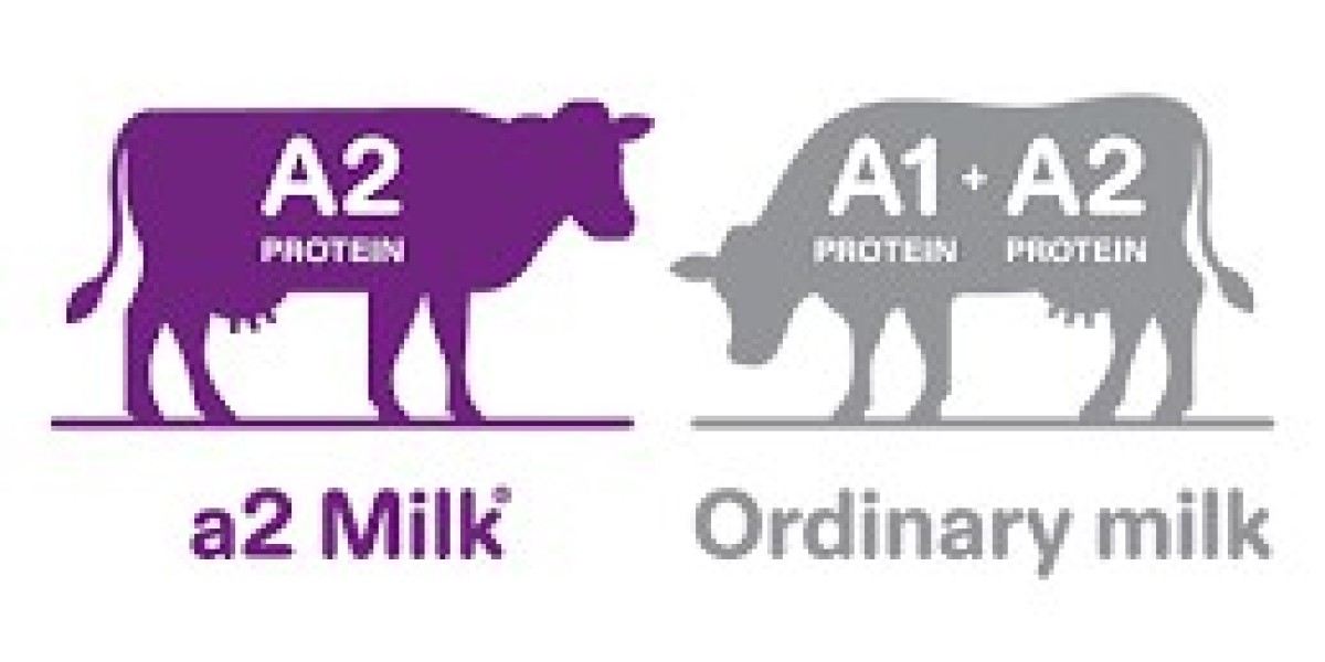 A2 Milk Market Sales Performance