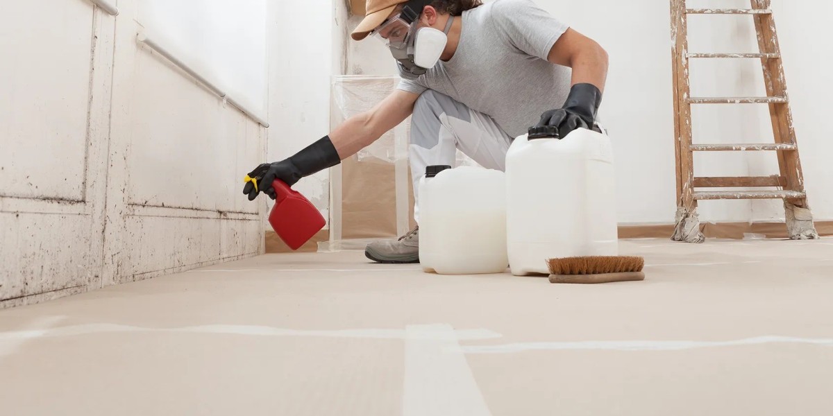 Expert Mould Cleaning for Safe, Healthy Living in Residential Spaces