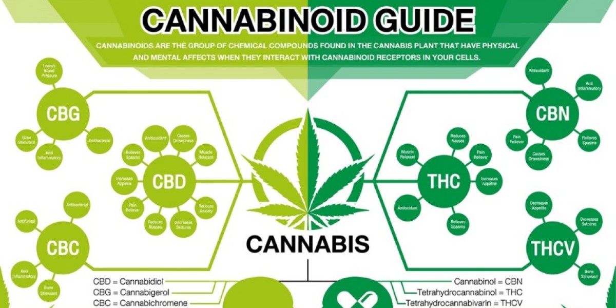 Cannabis Analyser Market Drivers Boosting Technological Innovation and Quality Assurance