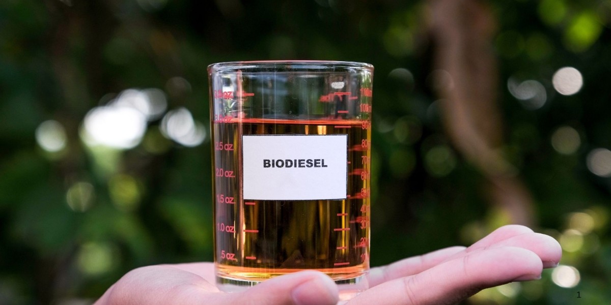 Global Biodiesel Market to Reach US$ 70.61 Billion by 2033: Renub Research