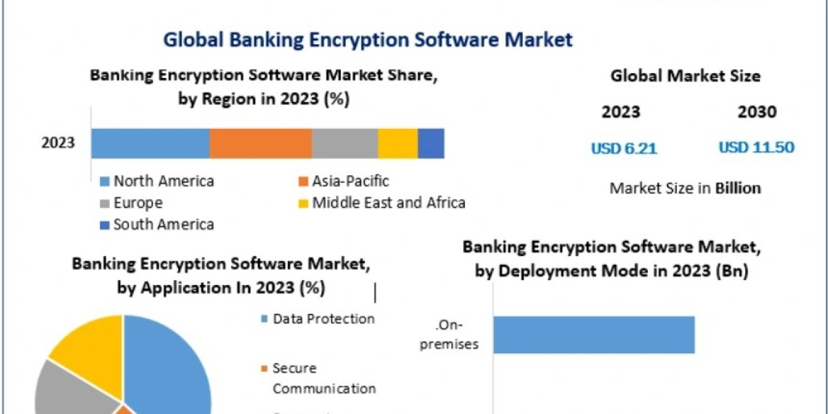Banking Encryption Software Market Size, Trends, and Growth Forecast 2024–2030