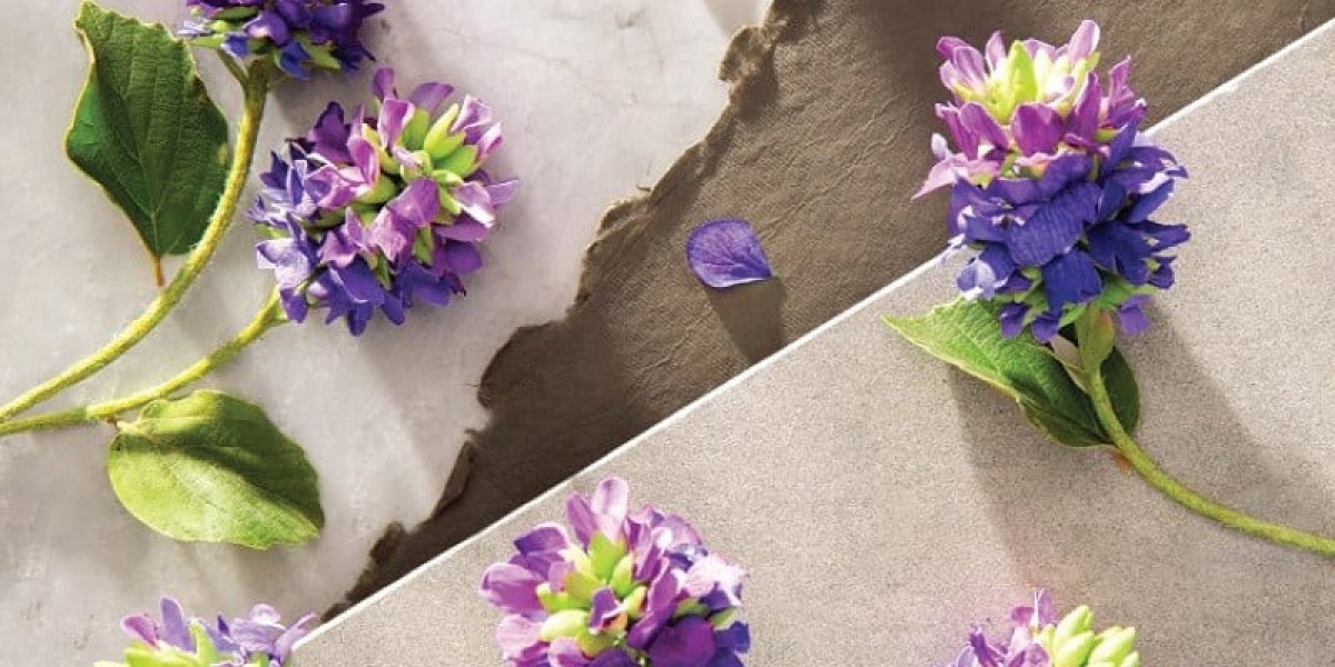 Bakuchiol Market Research Drives Scientific Validation and Innovation in Clean Skincare Formulations