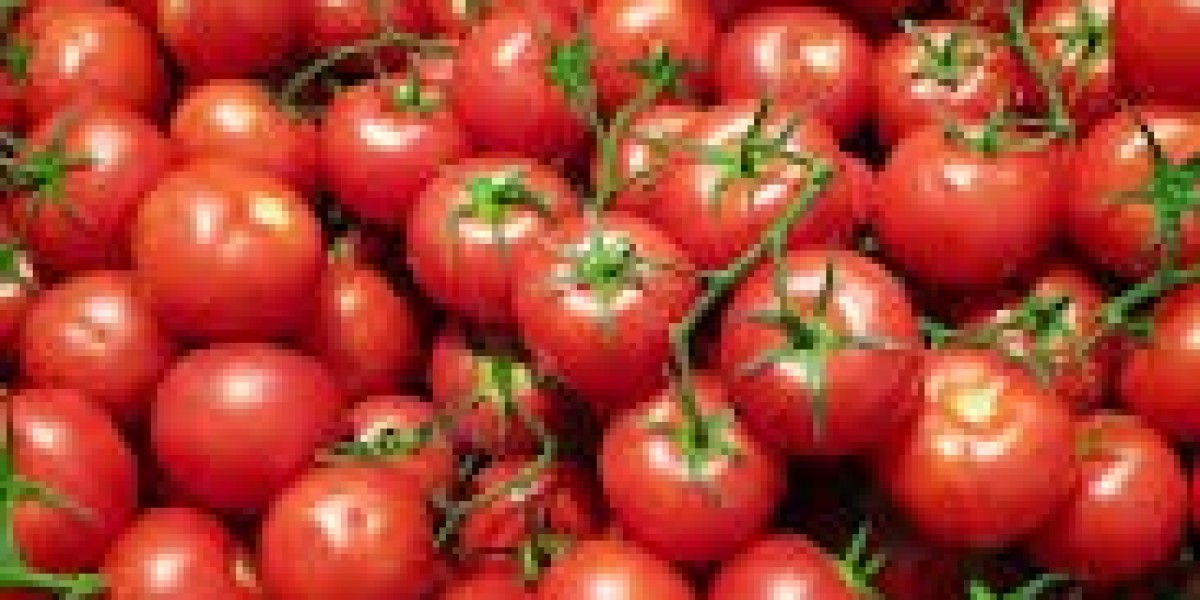 How Are Small Farmers Boosting Income with Hybrid Tomatoes?