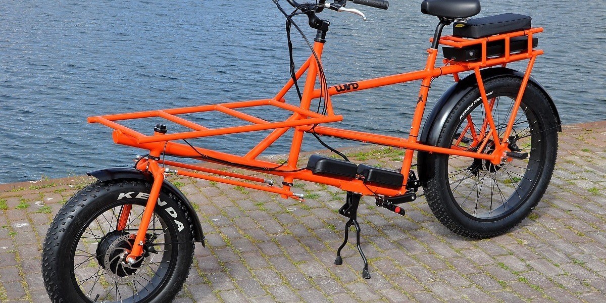 Cargo Bike Tire Market Share Analysis 2025 Growth, Trends Analysis Report 2035
