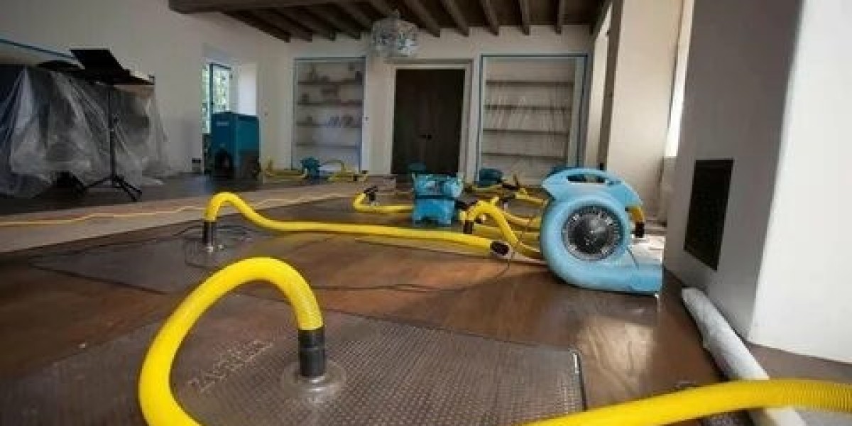 What to Expect From Expert Water Damage Restoration Companies