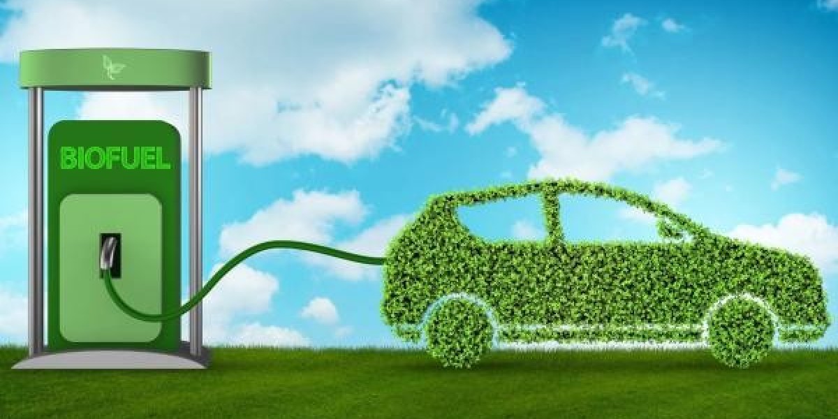 Brazil Biofuels Market: Size, Trends, and Strategic Outlook 2025-2032