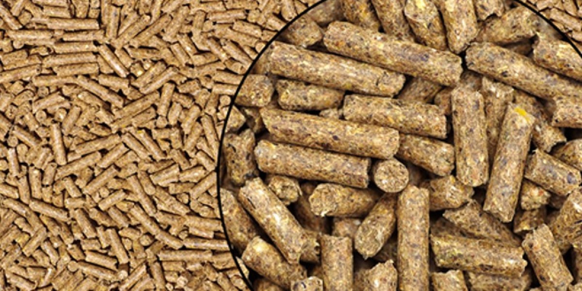 Trends and Innovations Shaping the Global Animal Feed Enzymes Market