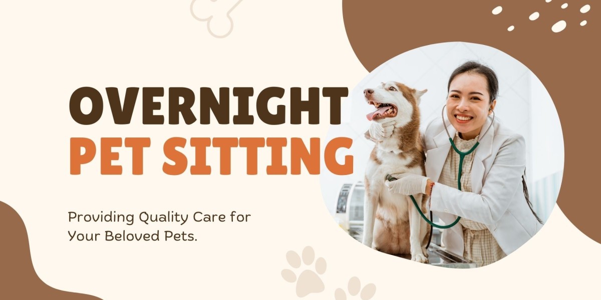 The Peace of Mind You Didn’t Know You Needed: Why Overnight Pet Sitting Is Worth It