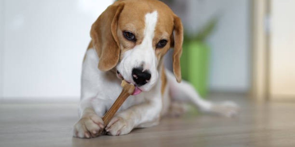 Best Meaty Chews for Dogs – Healthy, Tasty & Long-Lasting Treats