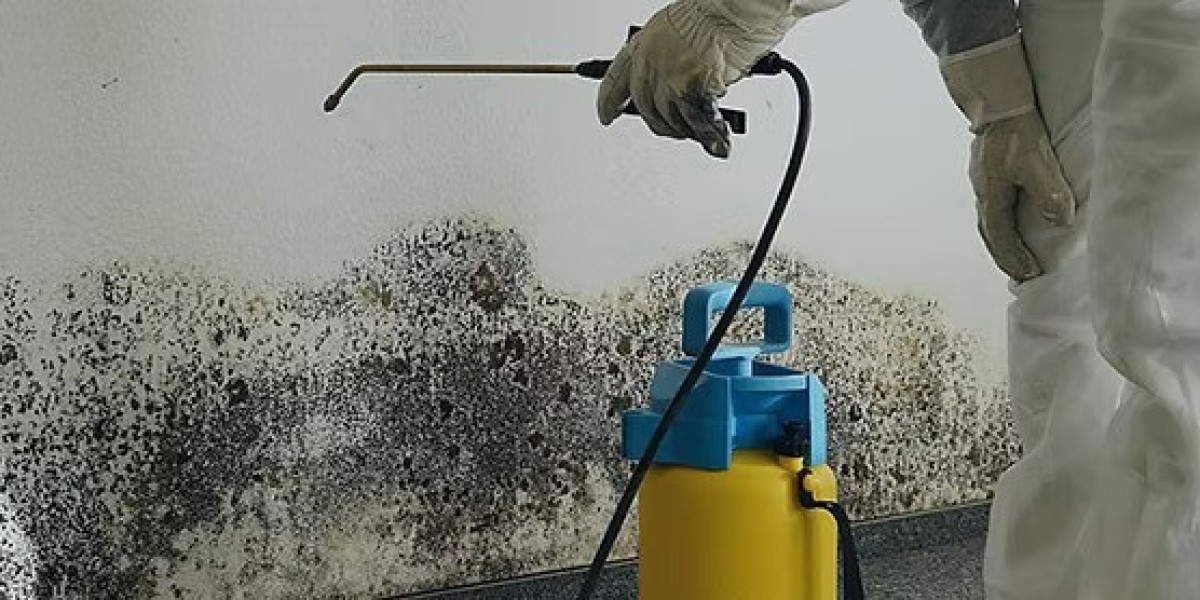 Benefits of Hiring Certified Mold Remediation Services in Mukilteo WA