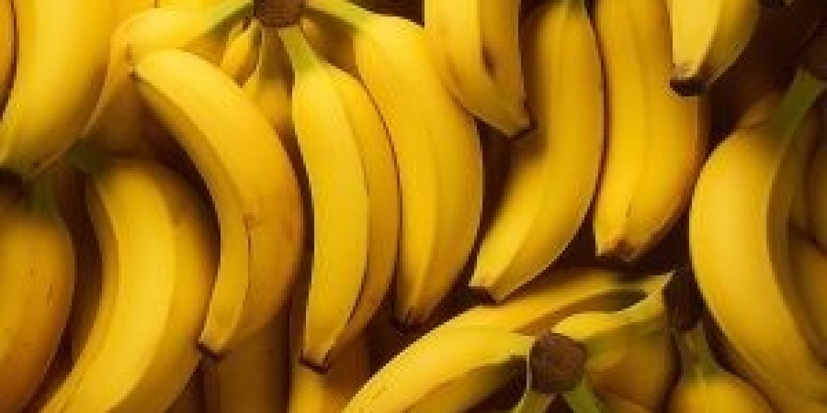 Top Banana Export Company in India Transforming Global Trade