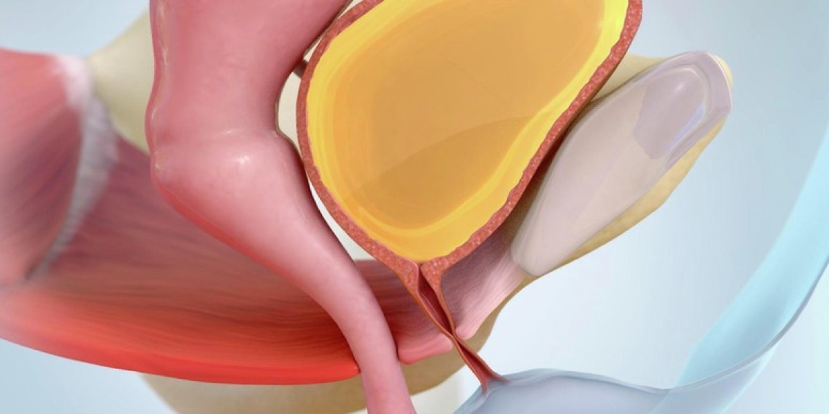 Stress Urinary Incontinence Devices Market Size, Trends, and Growth Analysis 2025-2032