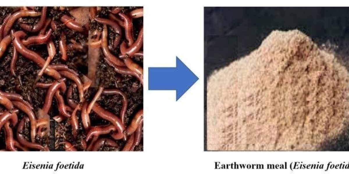 Earthworm Meal Market: Role in Organic Farming Systems
