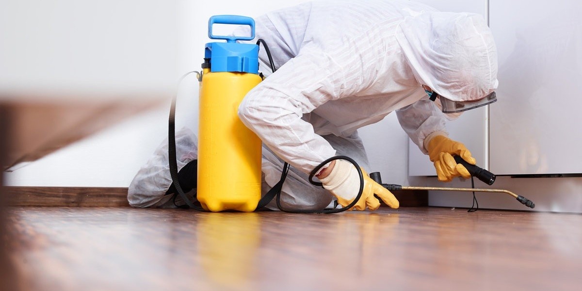 Global Pest Control Market Outlook 2022–2032: Size, Share & Emerging Trends