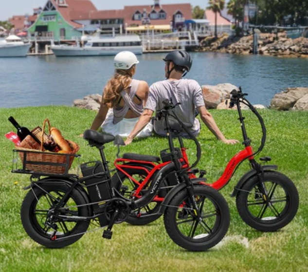 VICTRIP Ebike