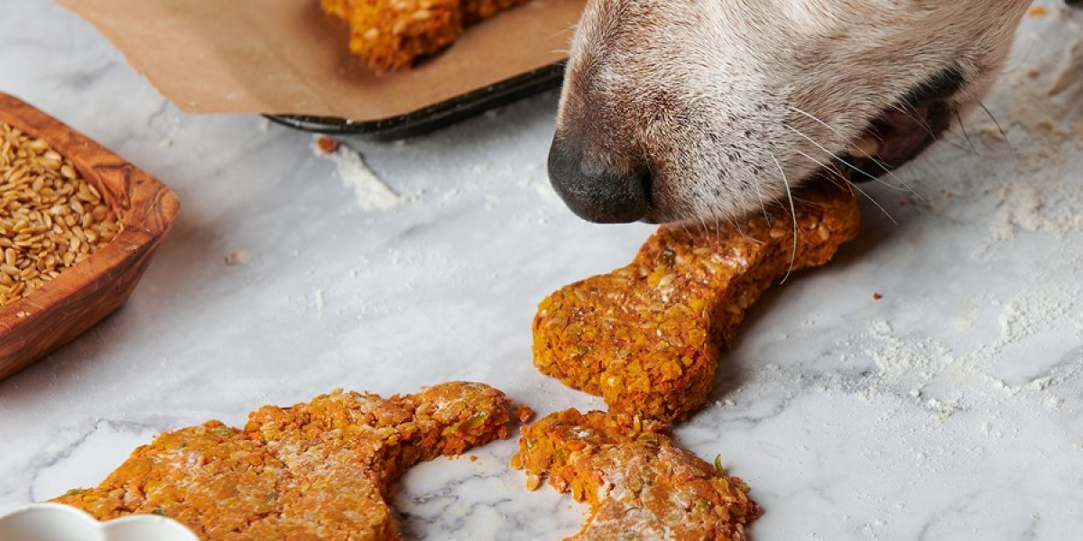 Vegan Dog Food Market Shifts Reflecting Consumer Preferences, Sustainability Trends, and Global Growth Dynamics