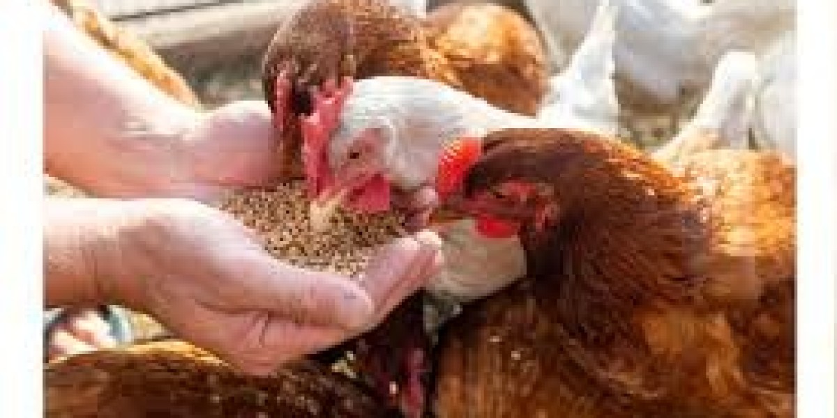 Poultry Feed Market Strategic Moves Center on Innovation, Expansion, and Partnerships