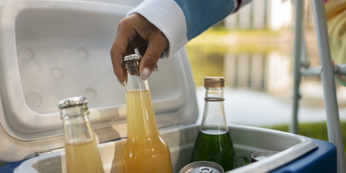 Car Refrigerator Freezer