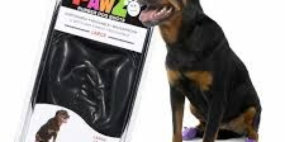 Pawz Waterproof Booties: The Complete Guide To Protect Your Dog’s Paws