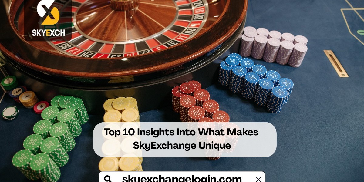 Top 10 Insights Into What Makes SkyExchange Unique