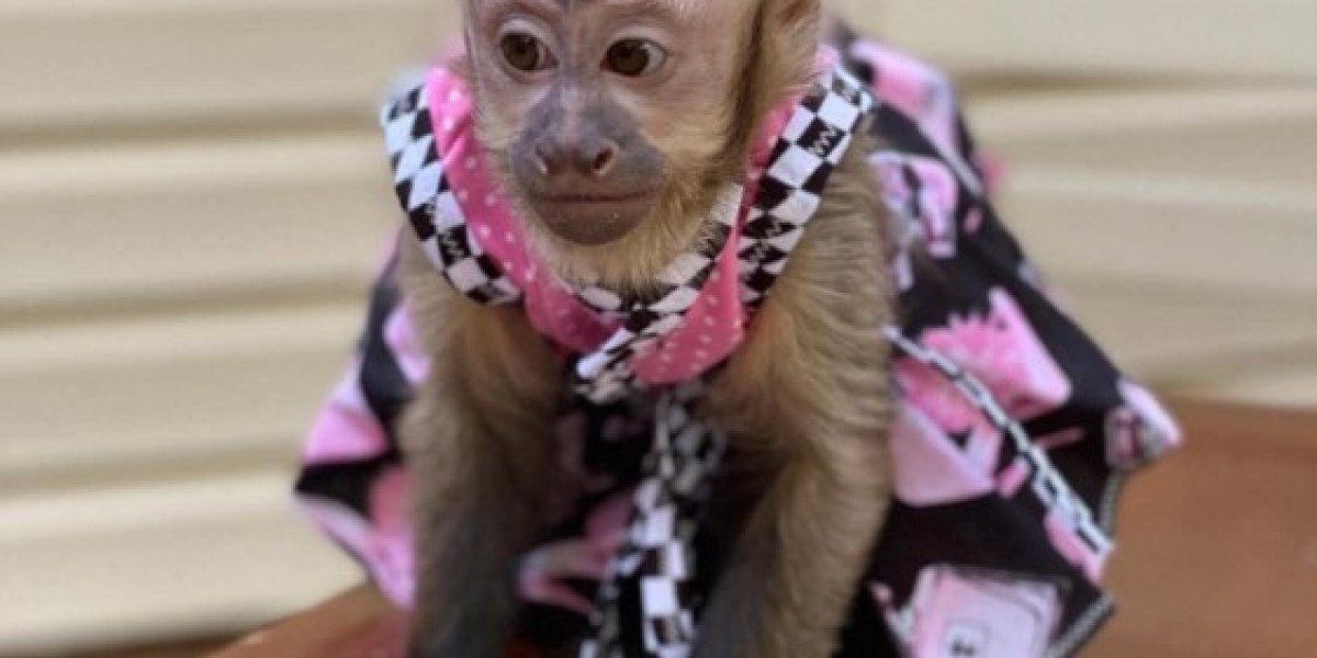 The Joy of Raising Hand-Raised Capuchin, Marmoset & Squirrel Monkeys