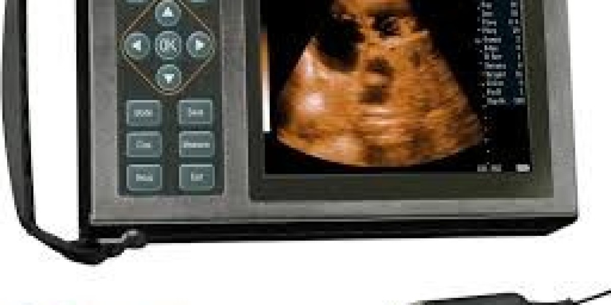 Veterinary Ultrasound Scanner Market Driving Better Animal Care Through High-Resolution Imaging Systems