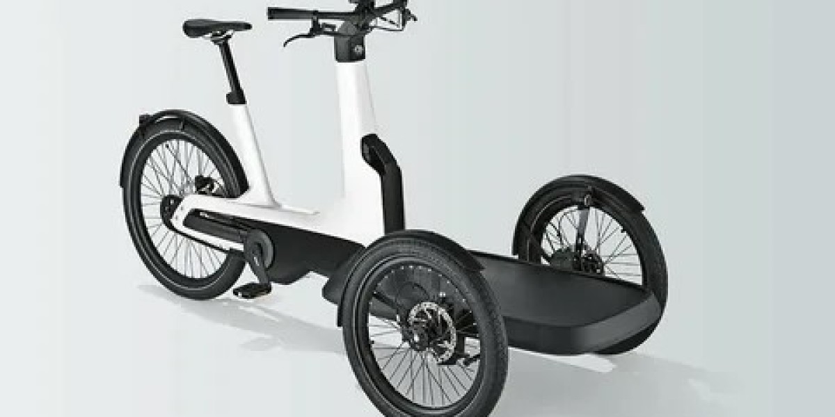 Electric Cargo Bike Market Size, Share, Trends, Industry Analysis : Research Methodology from 2025 to 2035