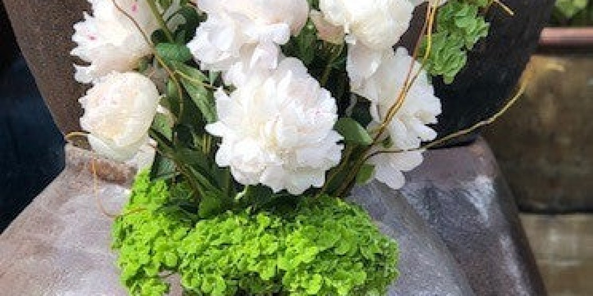 Plants N' Petals Presents: Top Peonies in Houston for Every Garden Style