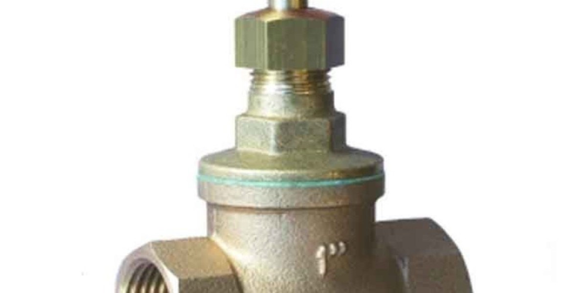 BRONZE GLOBE VALVE MANUFACTURER IN INDIA