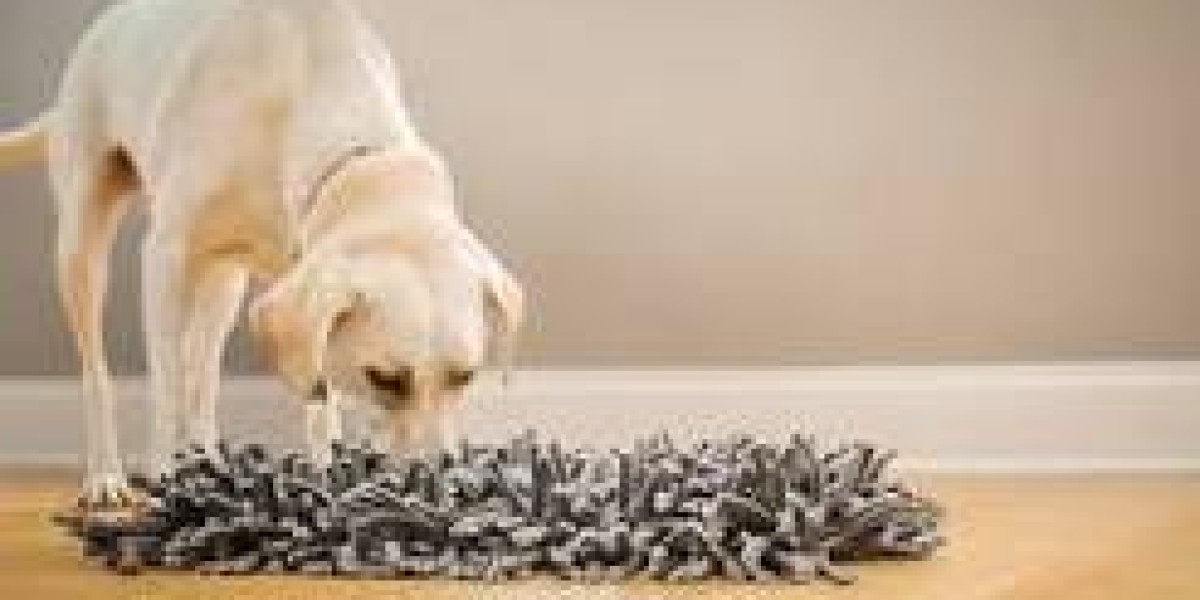Paw 5 Wooly Snuffle Mat – A Complete Guide for Pet Owners