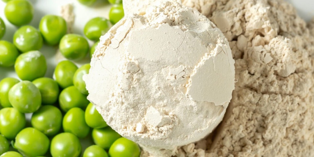 Pea Protein Market Strategies: From Raw Material Sourcing to Product Launch