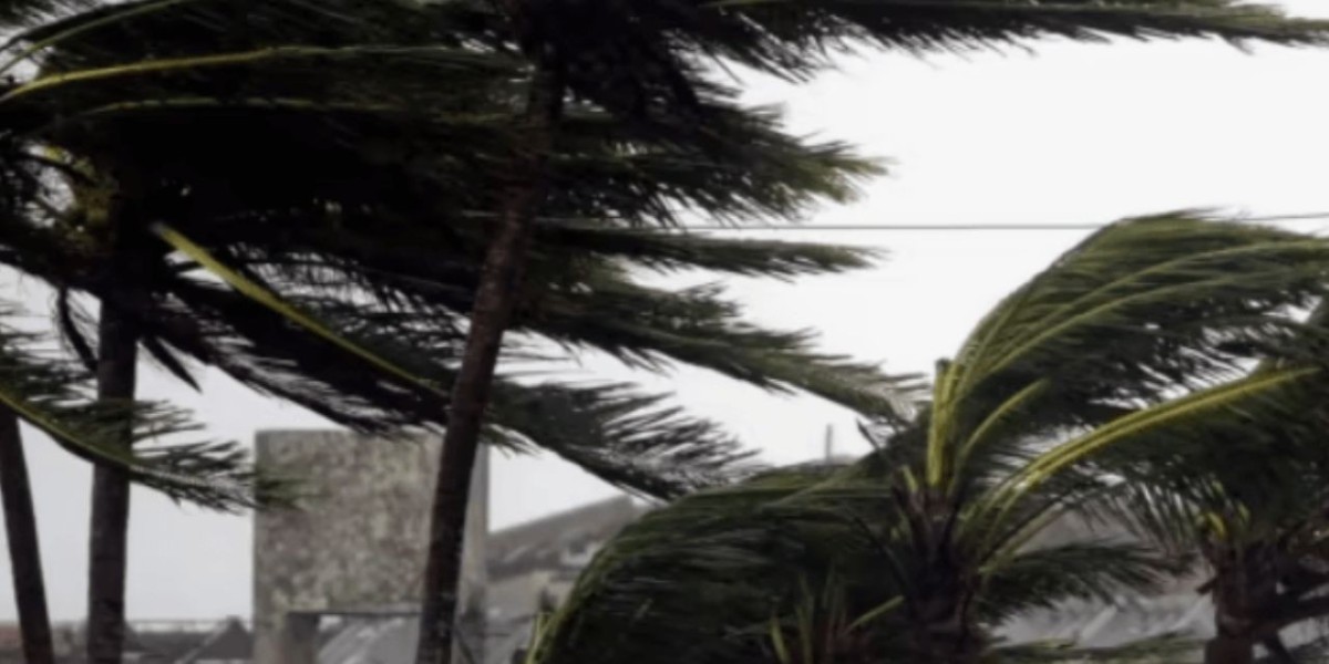 Heavy Rainfall Cause Tragic Losses and Widespread Flooding D. I. Khan And Across Pakistan
