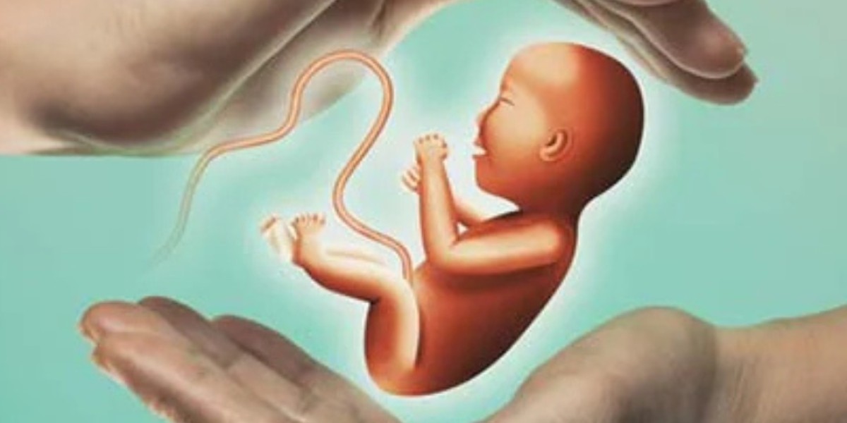 Sunflower IVF Hospital: Top IVF Hospital in Ahmedabad for Complete Fertility Care