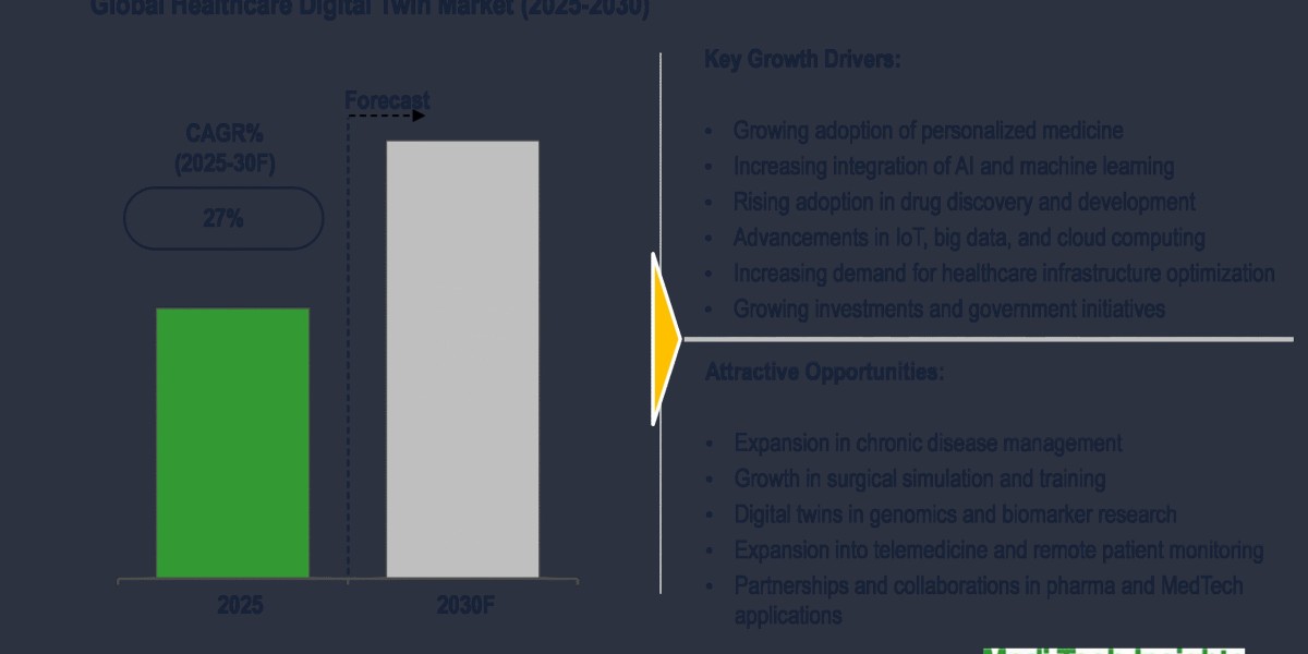 Global Healthcare Digital Twin Market to Expand at 27% CAGR, Enhancing Care Models till 2030