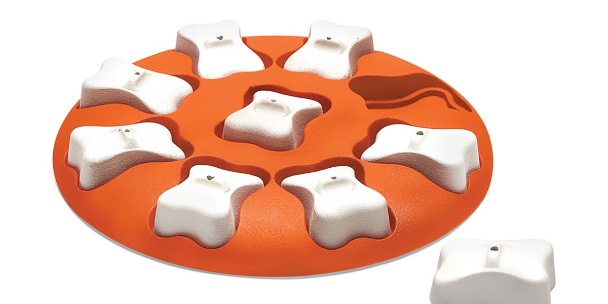 Outward Hound Puzzle Toys