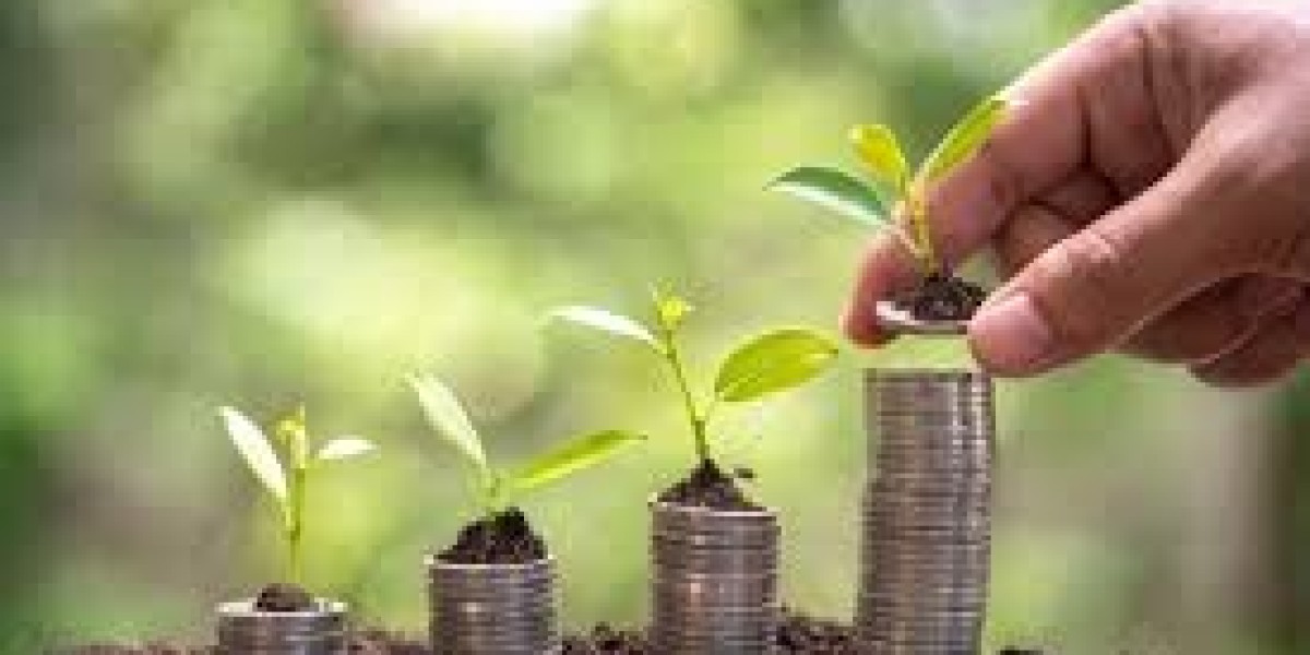 Impact Investing Market 2030: Growth Potential & Key Dynamics