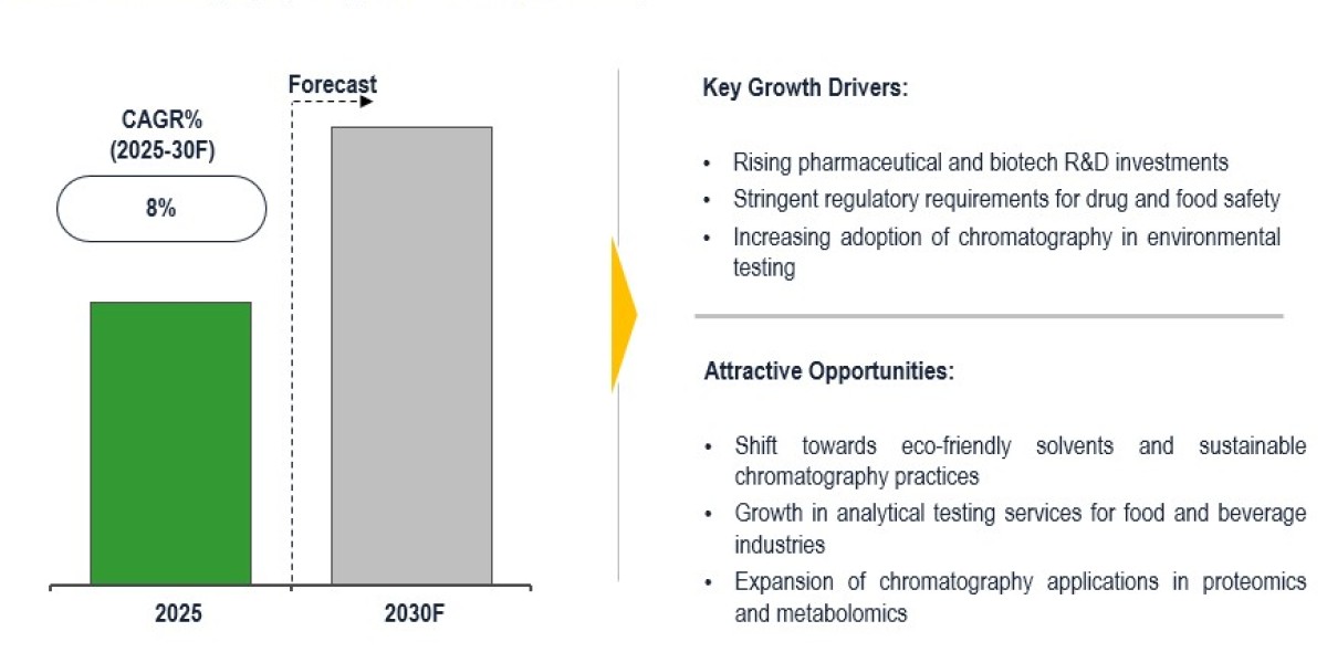 Global Chromatography Reagents Market to Witness 8% CAGR with Personalized Medicine 2030
